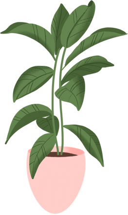 Indoor plant illustration 